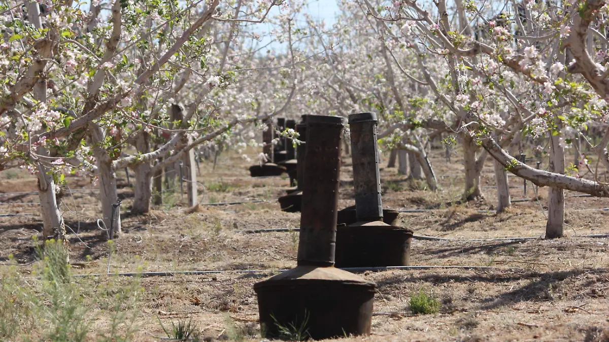 Aseguran que la CFE se lleva las ganancias de los fruticultores